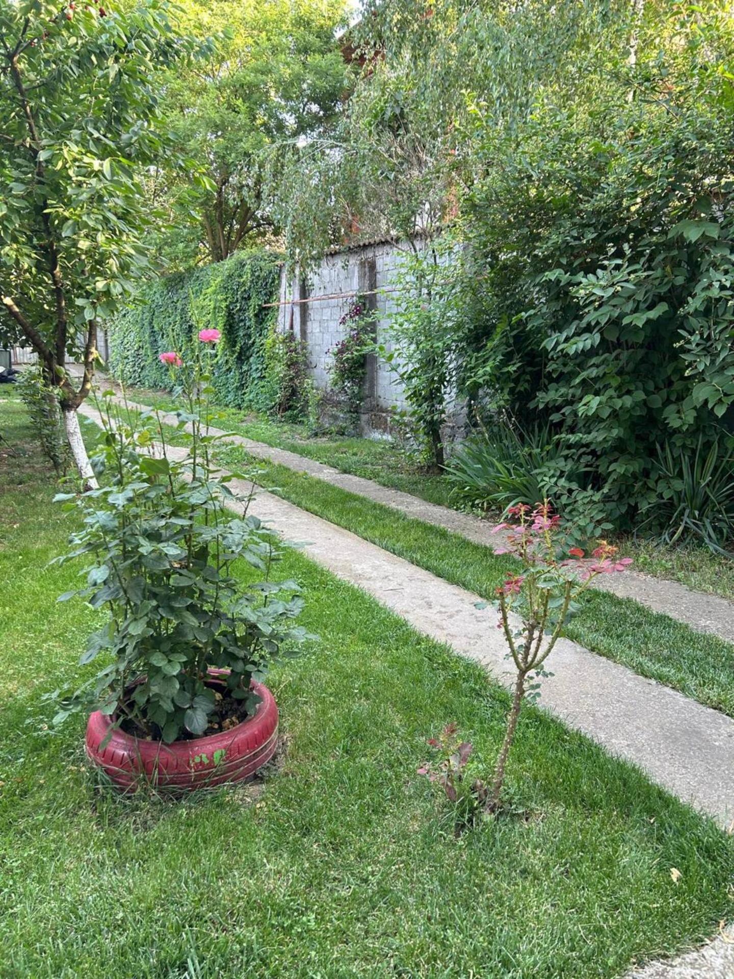 Vila De Inchiriat Aproape De Therme Balotesti Buitenkant foto